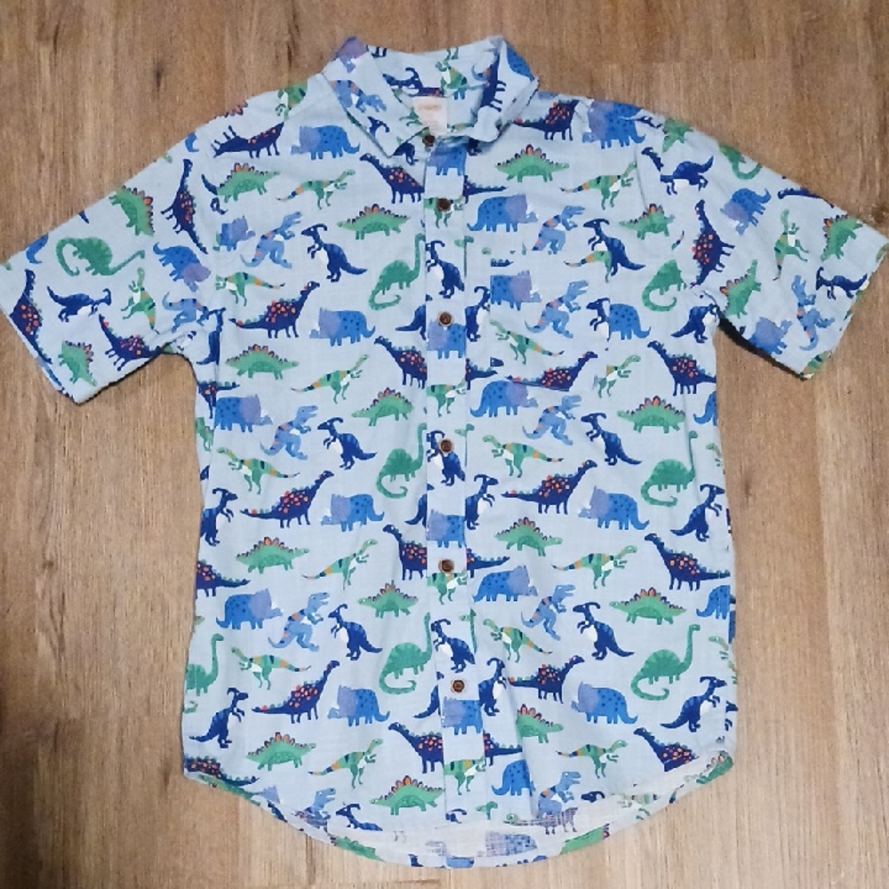 12 Gymboree Dinosauer Shirt